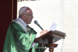 Homilia Ojca Świętego Franciszka: Jubileusz Maryjne